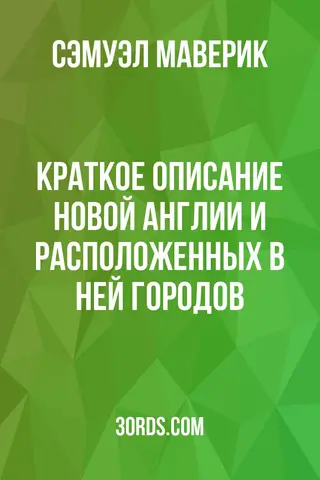 Обложка аудиокниги «Краткое описание Новой Англии и расположенных в ней городов»