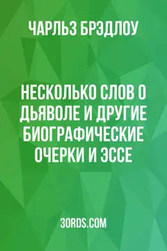 Обложка аудиокниги «Несколько слов о дьяволе и другие биографические очерки и эссе»