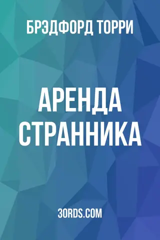 Обложка аудиокниги «Аренда странника»