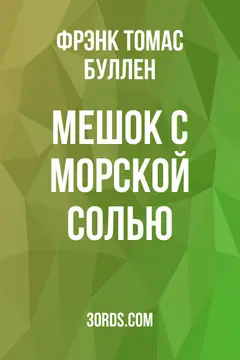 Обложка аудиокниги «Мешок с морской солью»