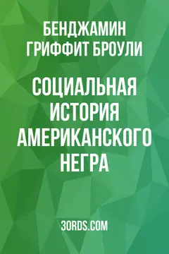 Обложка аудиокниги «Социальная история американского негра»
