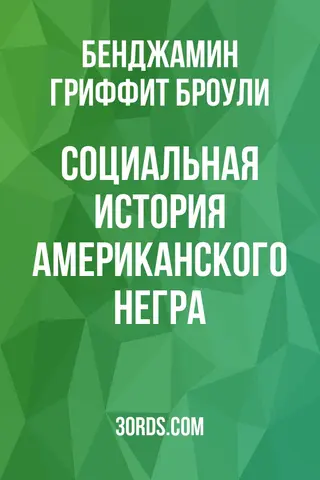 Обложка аудиокниги «Социальная история американского негра»