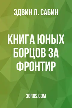 Обложка аудиокниги «Книга юных борцов за фронтир»