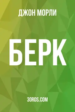 Обложка аудиокниги «Берк»