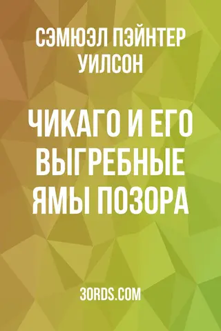 Обложка аудиокниги «Чикаго и его выгребные ямы позора»