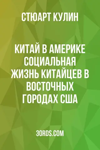 Обложка аудиокниги «Китай в Америке: Социальная жизнь китайцев в восточных городах США»