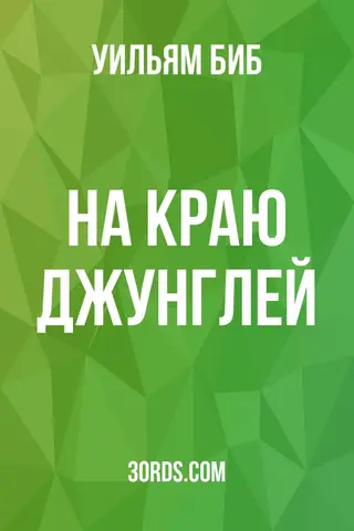 Обложка аудиокниги «На краю джунглей»