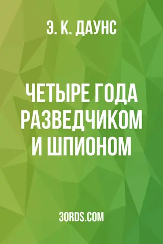 Обложка аудиокниги «Четыре года разведчиком и шпионом»