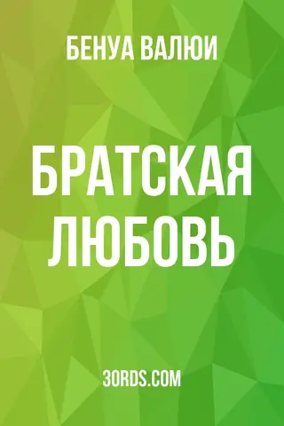 Обложка аудиокниги «Братская любовь»