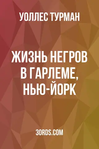 Обложка аудиокниги «Жизнь негров в Гарлеме, Нью-Йорк»