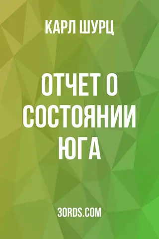 Обложка аудиокниги «Отчет о состоянии Юга»
