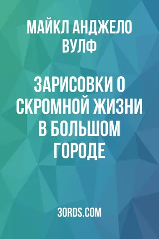 Обложка аудиокниги «Зарисовки о скромной жизни в большом городе»