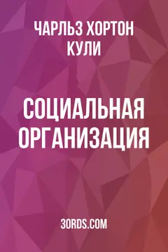 Обложка аудиокниги «Социальная организация»