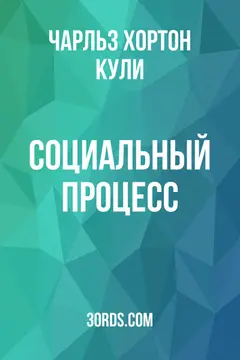 Обложка аудиокниги «Социальный процесс»