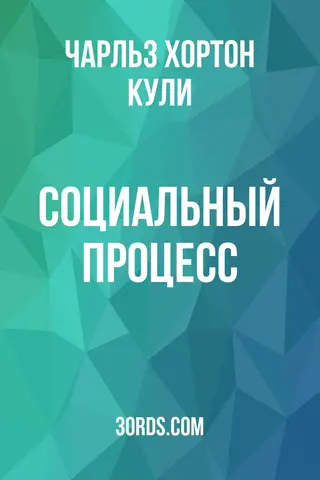 Обложка аудиокниги «Социальный процесс»