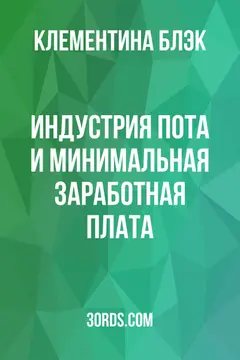 Обложка аудиокниги «Индустрия пота и минимальная заработная плата»