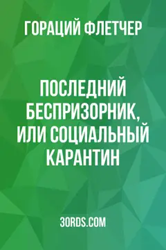 Обложка аудиокниги «Последний беспризорник, или Социальный карантин»