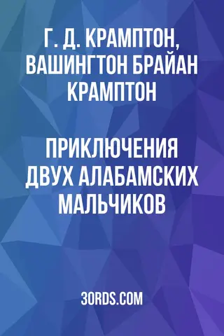 Обложка аудиокниги «Приключения двух алабамских мальчиков»
