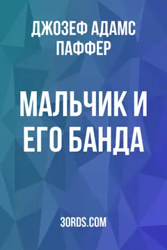 Обложка аудиокниги «Мальчик и его банда»