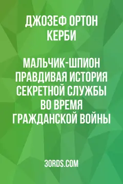 Обложка аудиокниги «Мальчик-шпион: Правдивая история секретной службы во время Гражданской войны»