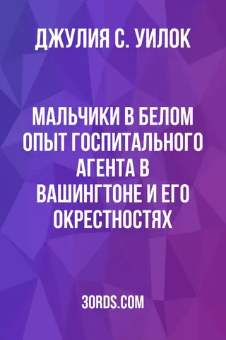 Обложка аудиокниги «Мальчики в белом: Опыт госпитального агента в Вашингтоне и его окрестностях»