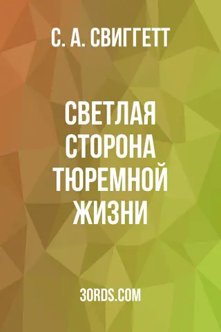 Обложка аудиокниги «Светлая сторона тюремной жизни»