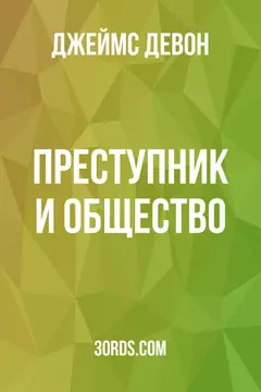 Обложка аудиокниги «Преступник и общество»