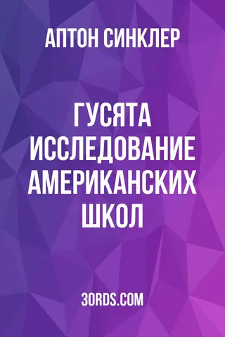 Обложка аудиокниги «Гусята: Исследование американских школ»