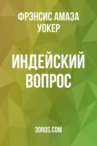 Обложка аудиокниги «Индейский вопрос»