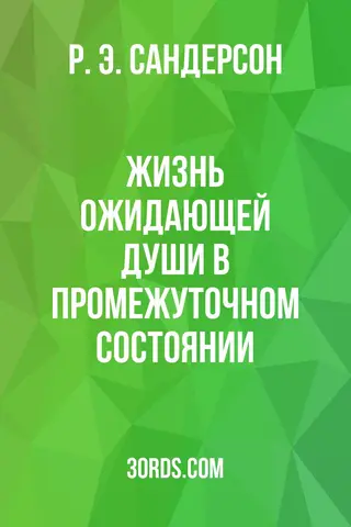 Обложка аудиокниги «Жизнь ожидающей души в промежуточном состоянии»