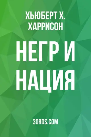 Обложка аудиокниги «Негр и нация»