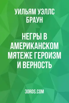 Обложка аудиокниги «Негры в американском мятеже: Героизм и верность»