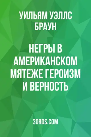 Обложка аудиокниги «Негры в американском мятеже: Героизм и верность»