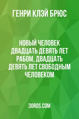 Обложка аудиокниги «Новый человек: двадцать девять лет рабом, двадцать девять лет свободным человеком»