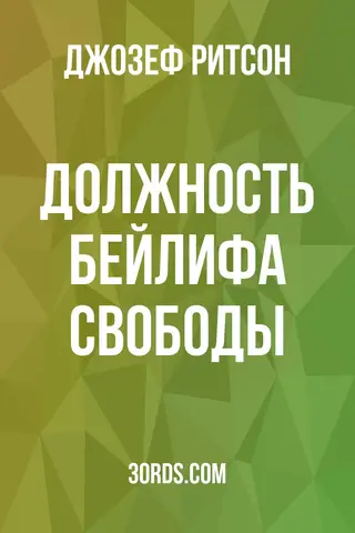 Обложка аудиокниги «Должность бейлифа свободы»
