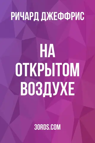 Обложка аудиокниги «На открытом воздухе»