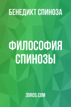 Обложка аудиокниги «Философия Спинозы»