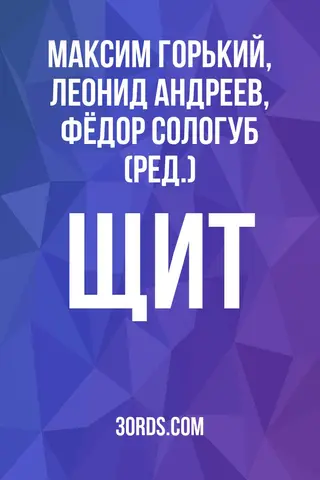 Обложка аудиокниги «Щит»