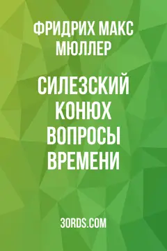 Обложка аудиокниги «Силезский конюх: Вопросы времени»