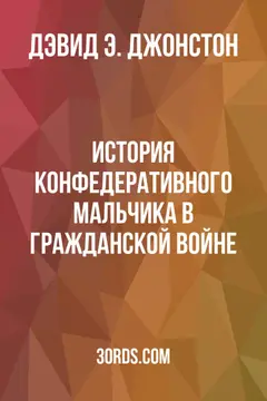 Обложка аудиокниги «История конфедеративного мальчика в Гражданской войне»