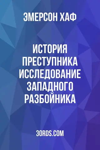 Обложка аудиокниги «История преступника: Исследование западного разбойника»