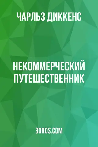 Обложка аудиокниги «Некоммерческий путешественник»
