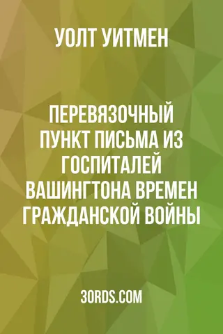 Обложка аудиокниги «Перевязочный пункт: Письма из госпиталей Вашингтона времен Гражданской войны»