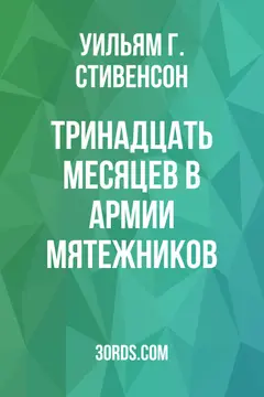 Обложка аудиокниги «Тринадцать месяцев в армии мятежников»