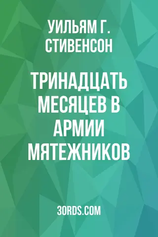 Обложка аудиокниги «Тринадцать месяцев в армии мятежников»