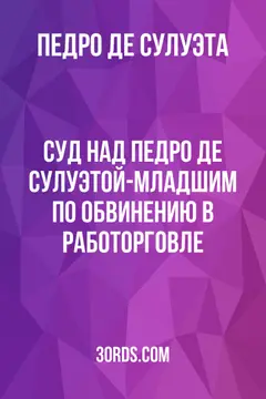 Обложка аудиокниги «Суд над Педро де Сулуэтой-младшим по обвинению в работорговле»