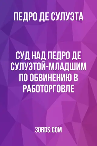 Обложка аудиокниги «Суд над Педро де Сулуэтой-младшим по обвинению в работорговле»