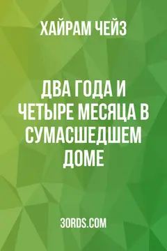 Обложка аудиокниги «Два года и четыре месяца в сумасшедшем доме»