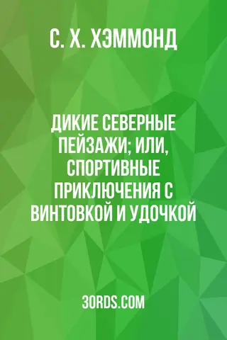 Обложка аудиокниги «Дикие северные пейзажи; или, Спортивные приключения с винтовкой и удочкой»