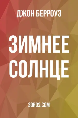 Обложка аудиокниги «Зимнее солнце»
